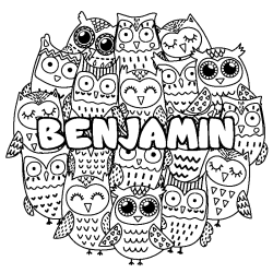 Coloring page first name BENJAMIN - Owls background