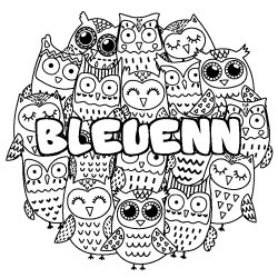 Coloring page first name BLEUENN - Owls background