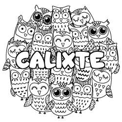 Coloring page first name CALIXTE - Owls background