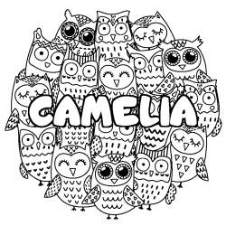 Coloring page first name CAMELIA - Owls background