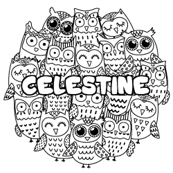 Coloring page first name CELESTINE - Owls background