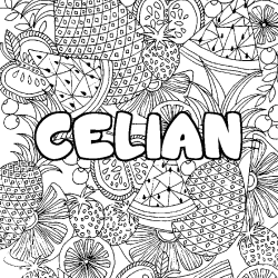 CELIAN - Fruits mandala background coloring