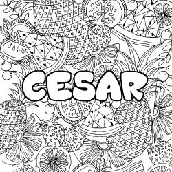 CESAR - Fruits mandala background coloring