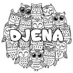 Coloring page first name DJENA - Owls background