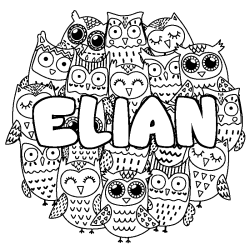 Coloring page first name ELIAN - Owls background