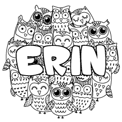 Coloring page first name ERIN - Owls background