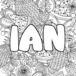 IAN - Fruits mandala background coloring