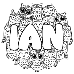 IAN - Owls background coloring