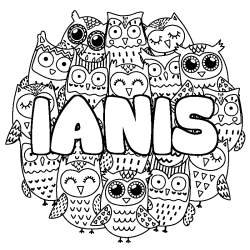 Coloring page first name IANIS - Owls background