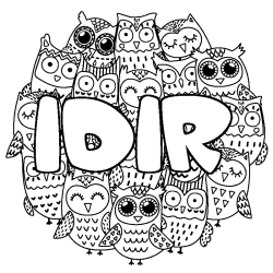 Coloring page first name IDIR - Owls background