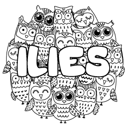 Coloring page first name ILIES - Owls background