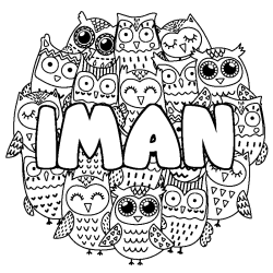 IMAN - Owls background coloring