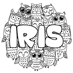 IRIS - Owls background coloring