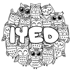 Coloring page first name IYED - Owls background