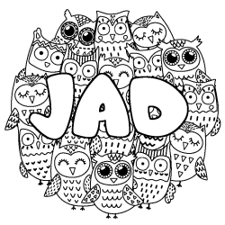 JAD - Owls background coloring