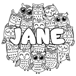 Coloring page first name JANE - Owls background