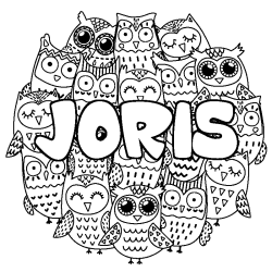 Coloring page first name JORIS - Owls background