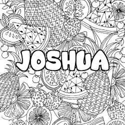 JOSHUA - Fruits mandala background coloring