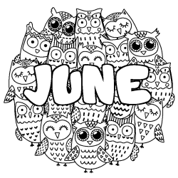 Coloring page first name JUNE - Owls background