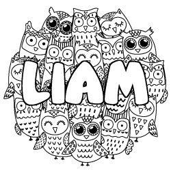 Coloring page first name LIAM - Owls background