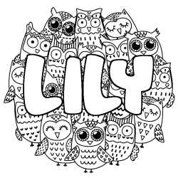 Coloring page first name LILY - Owls background