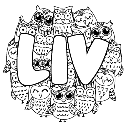 Coloring page first name LIV - Owls background