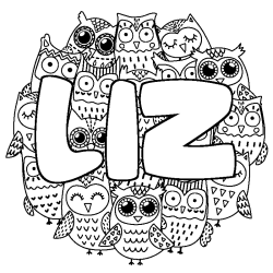 Coloring page first name LIZ - Owls background