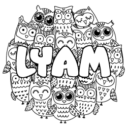 Coloring page first name LYAM - Owls background