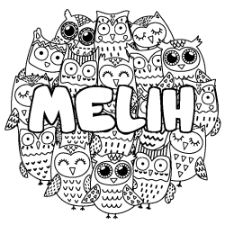 MELIH - Owls background coloring