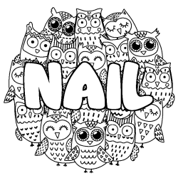 Coloring page first name NAIL - Owls background