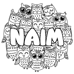 Coloring page first name NAIM - Owls background