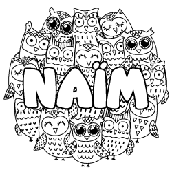 Coloring page first name NAÏM - Owls background