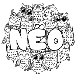Coloring page first name NÉO - Owls background