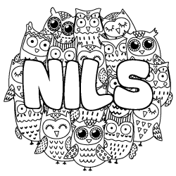 Coloring page first name NILS - Owls background