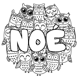 Coloring page first name NOÉ - Owls background