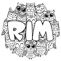 Coloring page first name RIM - Owls background