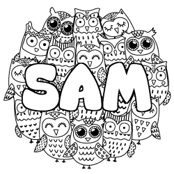 Coloring page first name SAM - Owls background