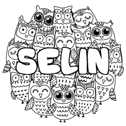 Coloring page first name SELIN - Owls background