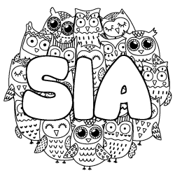 Coloring page first name SIA - Owls background