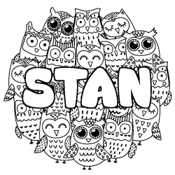 Coloring page first name STAN - Owls background