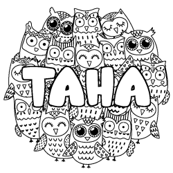 Coloring page first name TAHA - Owls background