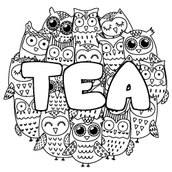 TEA - Owls background coloring