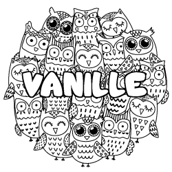 VANILLE - Owls background coloring