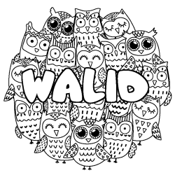 WALID - Owls background coloring