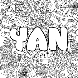 YAN - Fruits mandala background coloring