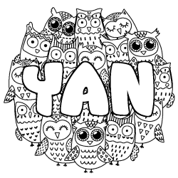 Coloring page first name YAN - Owls background