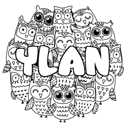 Coloring page first name YLAN - Owls background