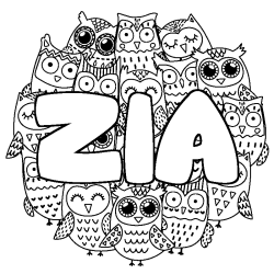 Coloring page first name ZIA - Owls background
