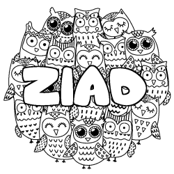 Coloring page first name ZIAD - Owls background
