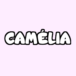 CAMÉLIA